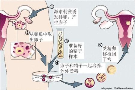 赵主任